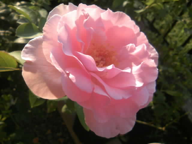 2008-10-01 22:13:33
