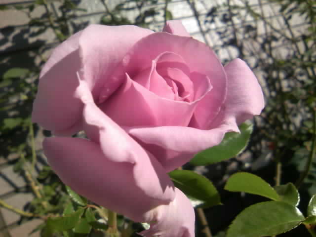 2008-12-16 22:04:08