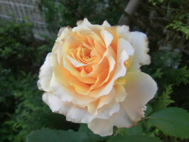 2008-10-01 22:18:40