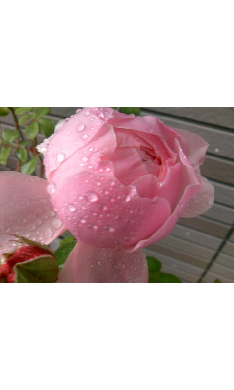 2008-11-30 21:17:58