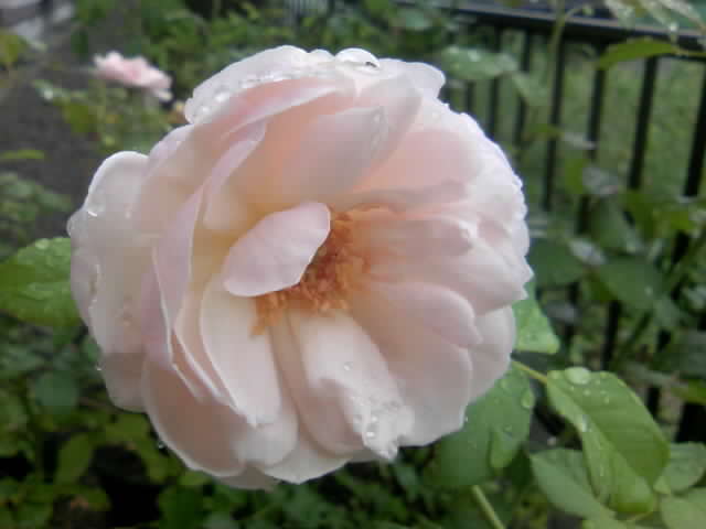 2008-09-07 14:07:14