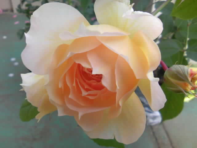 2008-12-13 22:11:51