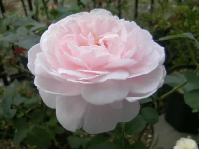 2008-10-21 22:47:21