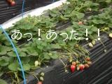 DSC03505.jpg