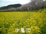 DSCF3043.jpg