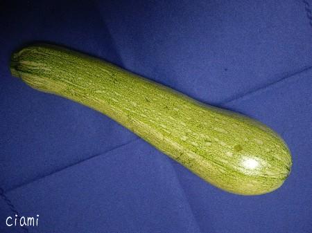 zucchine 1