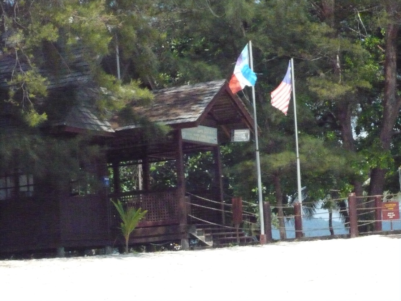 マムティック１