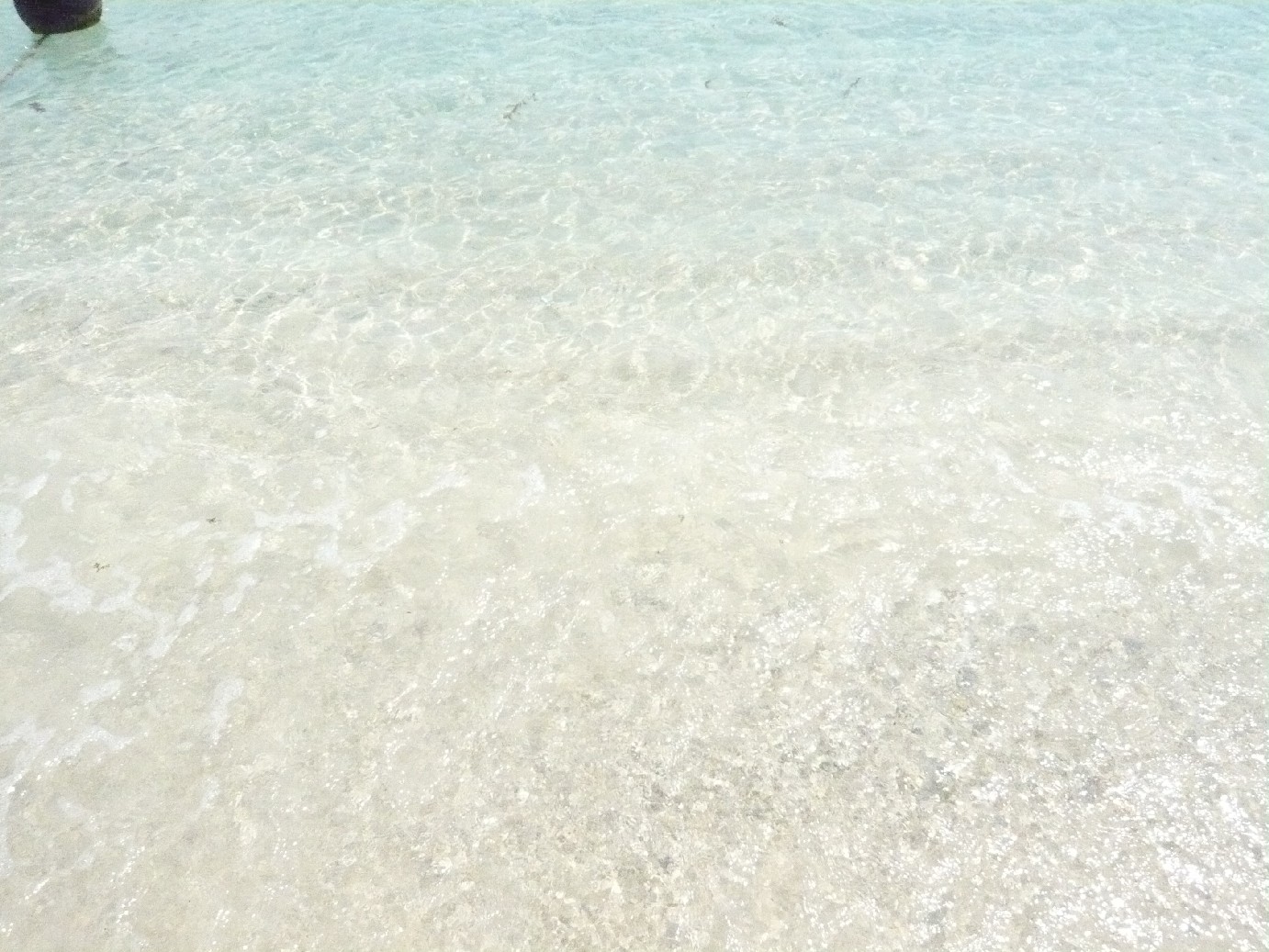 マムティック２