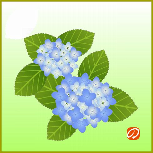 JTrimで描画　　紫陽花