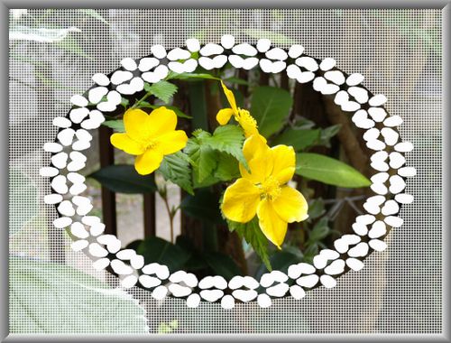 花の縁飾り　レースの枠