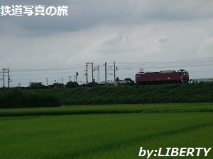 EF81-85号機　武田橋梁付近