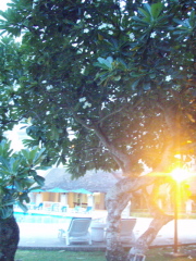 夕暮れのサイパン3