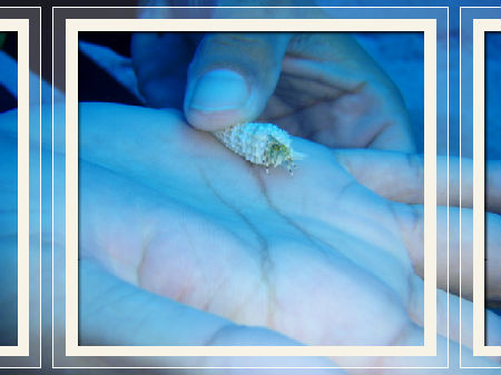 こんにちは～♪