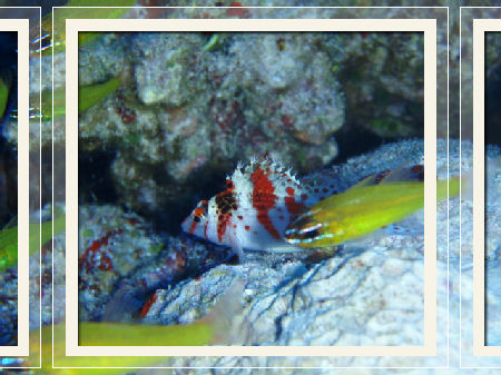 も～チョロチョロしないで