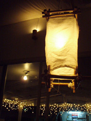 ムーンライトパームスの灯り