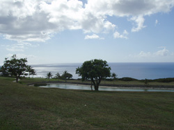 ロタカントリー