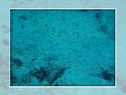 どこにいるでしょう～