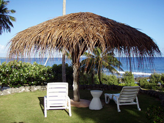 うたた寝しますかぁ～ !?