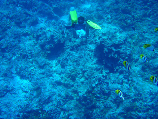 スキンダイブ♪