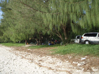 ファミリーの憩いのひととき