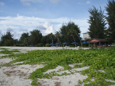 フィエスタホテルに到着～