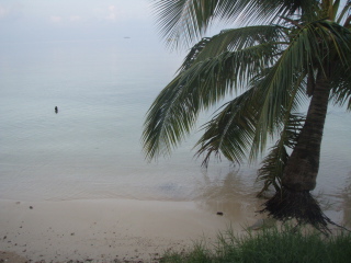 ひんやり～静か♪