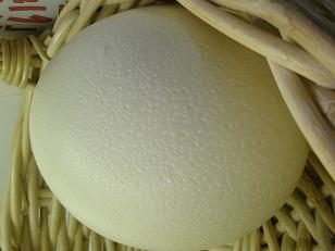 やっちく (9).JPG