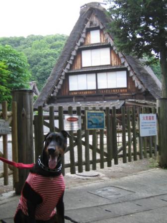 ヨハンと日本家屋