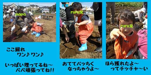PA120199笘・convert_20081014153219.jpg