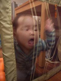 RIMG2310_convert_20080826223421.jpg