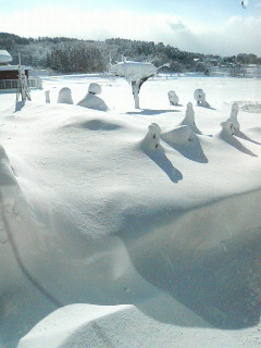 2009.12.21雪景色