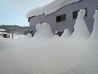 2010.1.17大雪