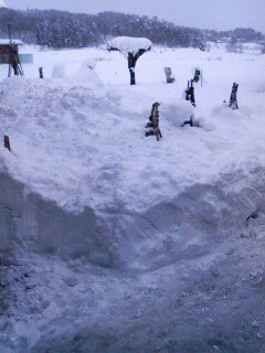 2009.12.20豪雪