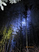 IMG_1161 (135x180).jpg