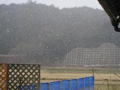 ひな祭りなのに雪・・・・