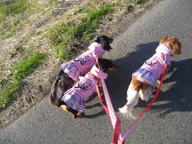 今日は快適でしゅ～