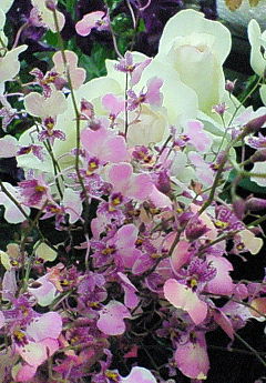 201003281707000.jpg