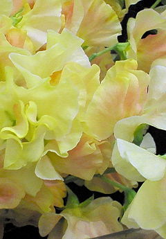 201003201524000.jpg