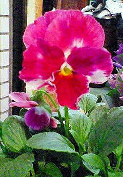 200911232016000.jpg