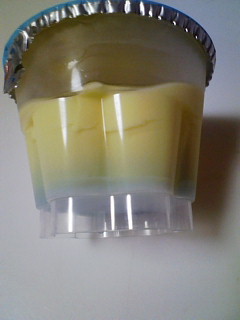 プッチンプリン4