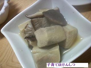 高野豆腐.jpg