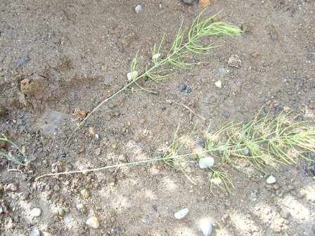 DSCF2124.JPG