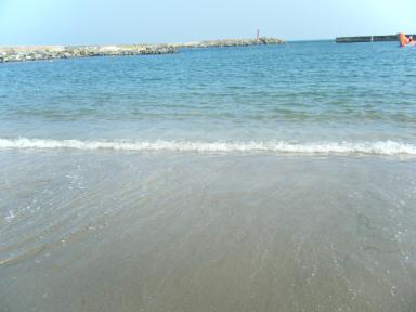 DSCF2155.JPG