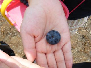 DSCF2241.JPG