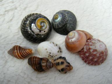 DSCF2528.JPG