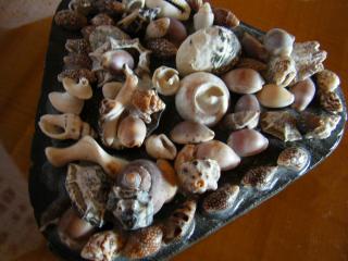 DSCF2726.JPG