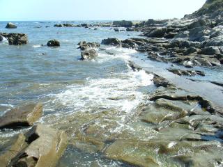 DSCF2374.JPG