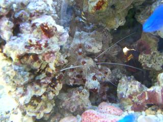 DSCF2519.JPG