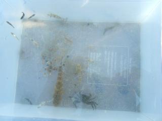 DSCF2380.JPG