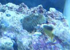 DSCF2929.JPG